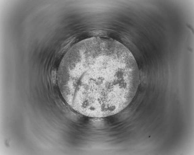 X0000101650189200807311421