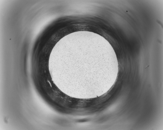 X0000101650190200807311421