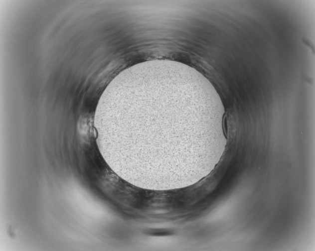 X0000101650191200807311421