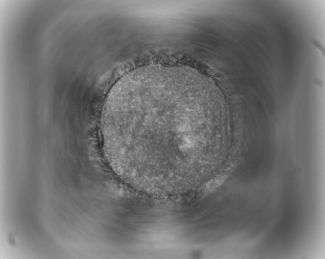 X0000101650192200807311421