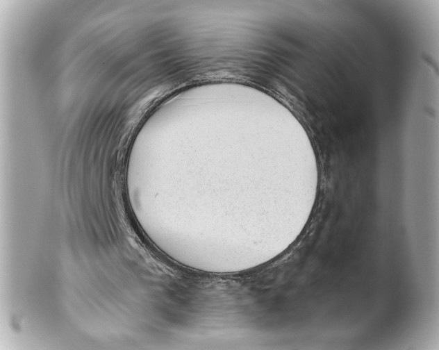 X0000101650193200807311420
