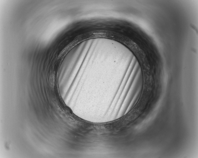 X0000101650194200807311420