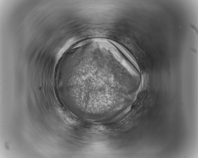 X0000101650195200807311420