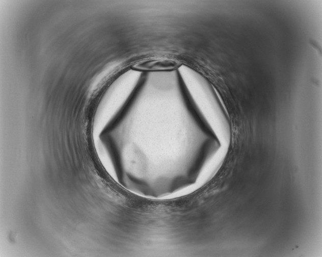 X0000101650197200807311420