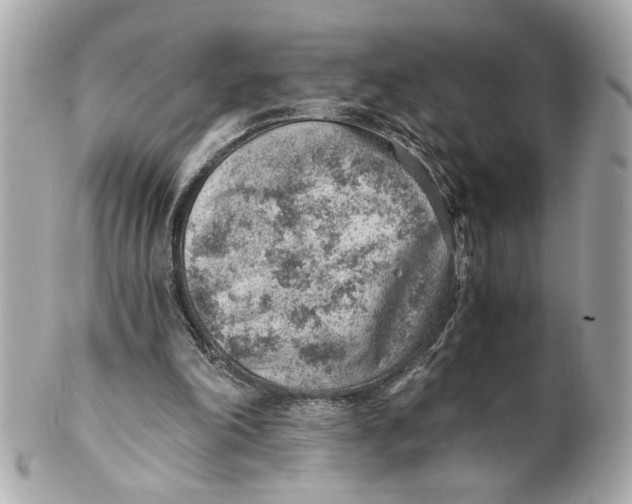 X0000101650198200807311420
