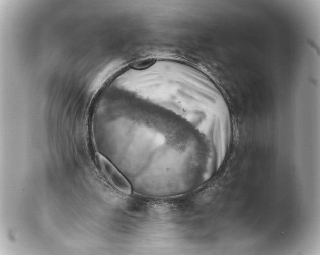 X0000101650199200807311420