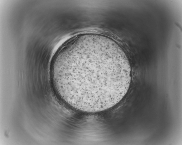 X0000101650200200807311420