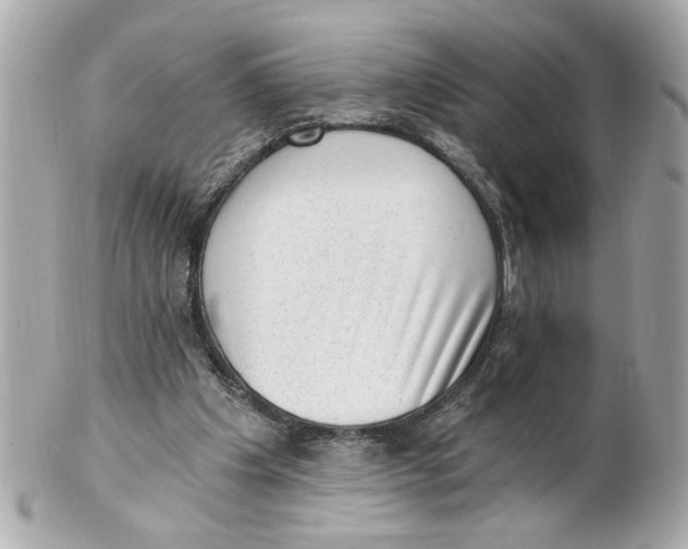 X0000101650201200807311420