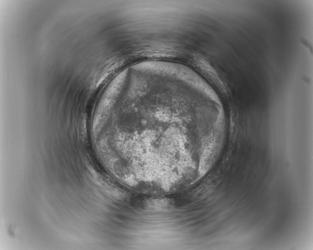 X0000101650202200807311420