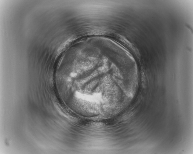 X0000101650203200807311420