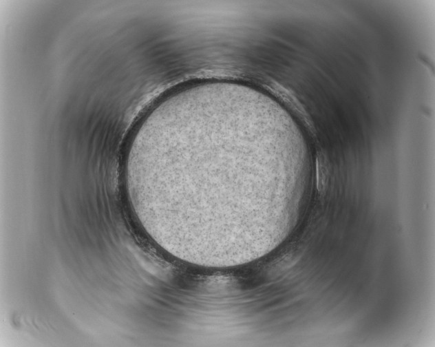 X0000101650204200807311420