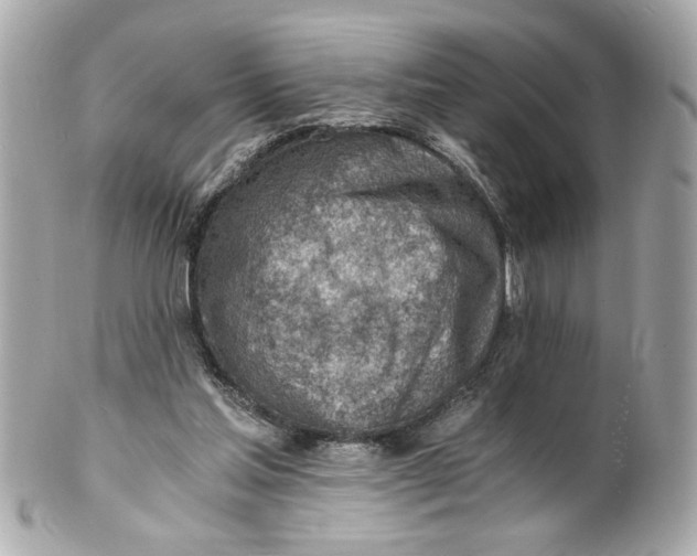 X0000101650205200807311420