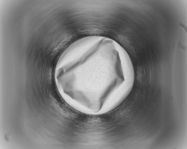 X0000101650206200807311420