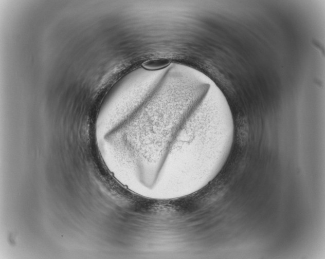 X0000101650207200807311420