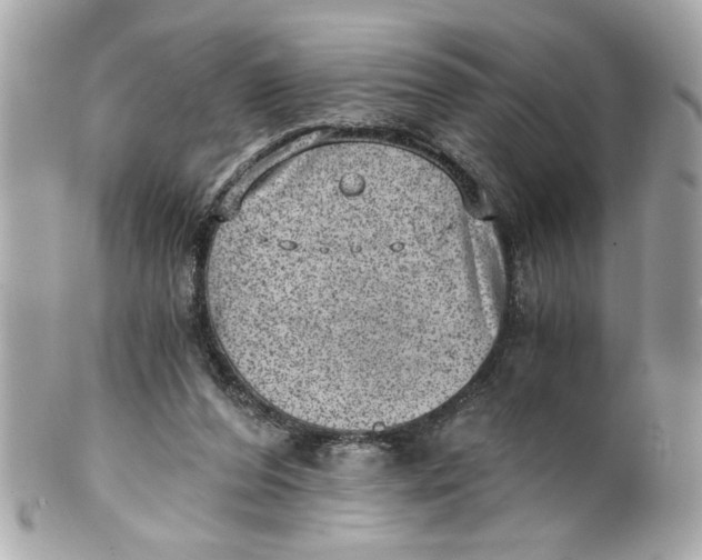 X0000101650208200807311420
