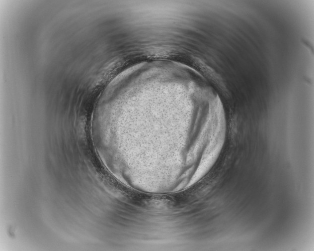 X0000101650209200807311420