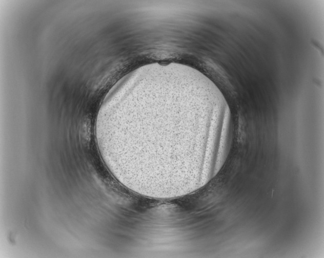X0000101650210200807311420