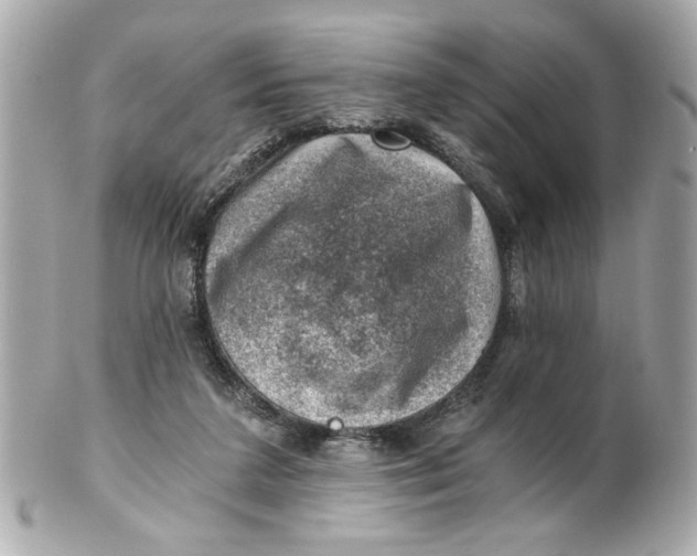 X0000101650211200807311420