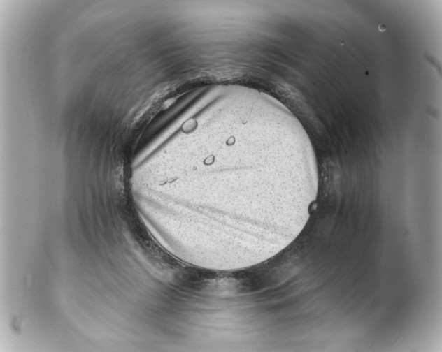 X0000101650212200807311420