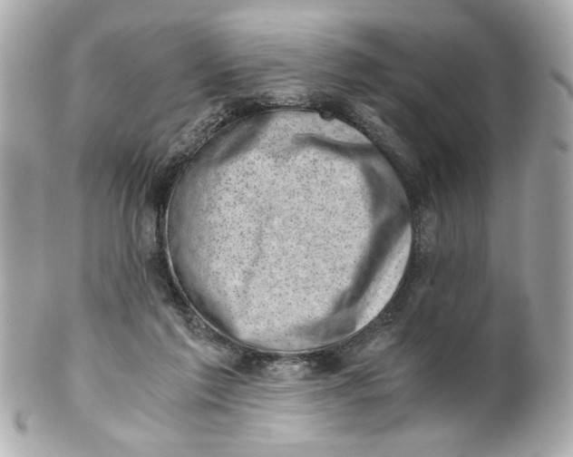 X0000101650213200807311420