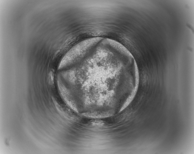 X0000101650214200807311420