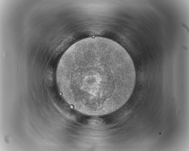 X0000101650215200807311420