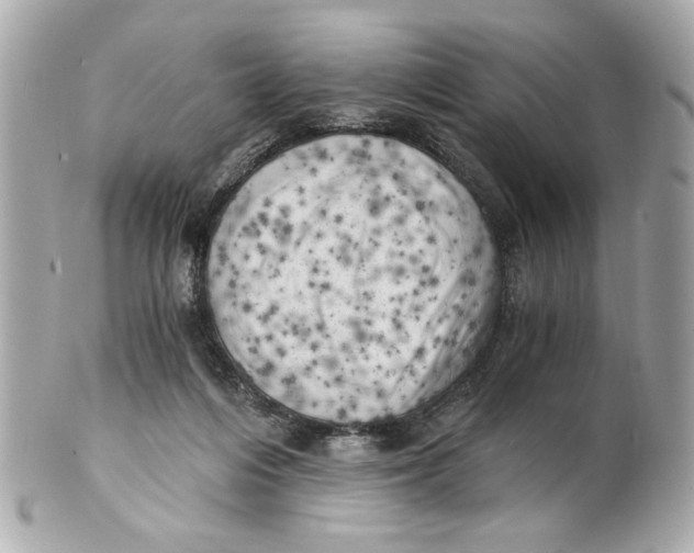 X0000101650216200807311420