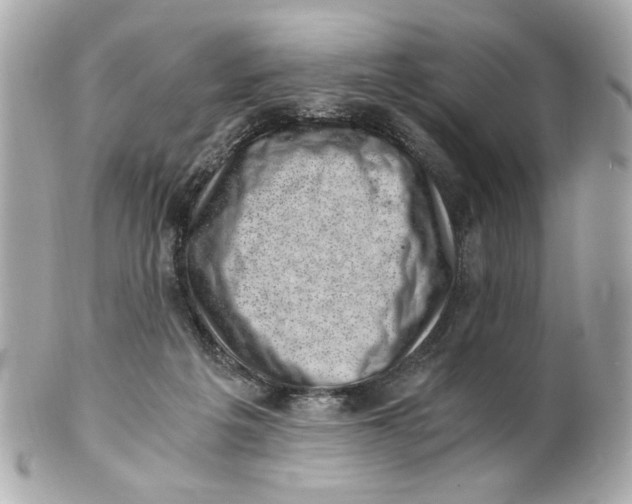 X0000101650217200807311420