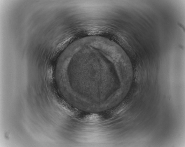 X0000101650219200807311420