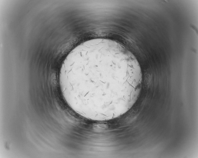 X0000101650220200807311420