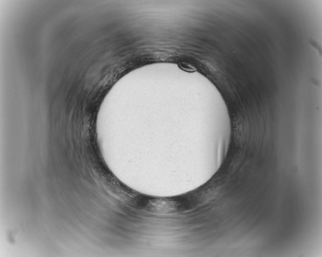 X0000101650221200807311420