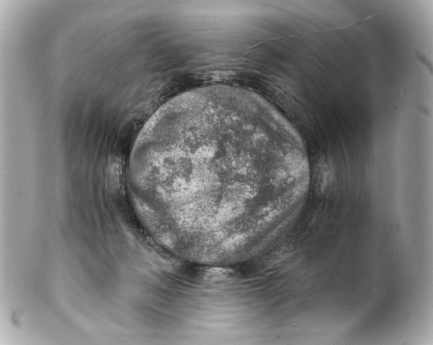 X0000101650222200807311420