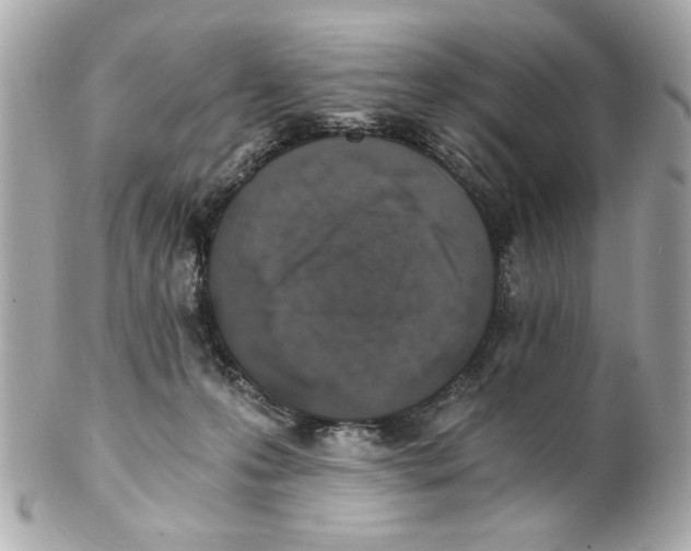 X0000101650223200807311420