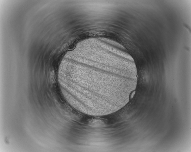 X0000101650224200807311420