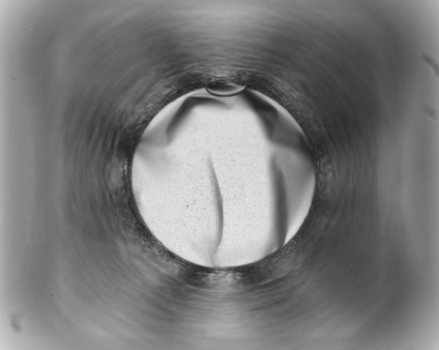 X0000101650225200807311420