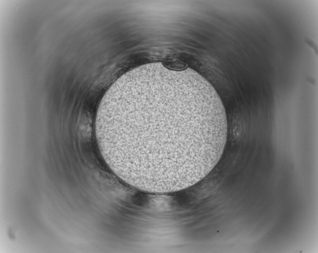 X0000101650226200807311420