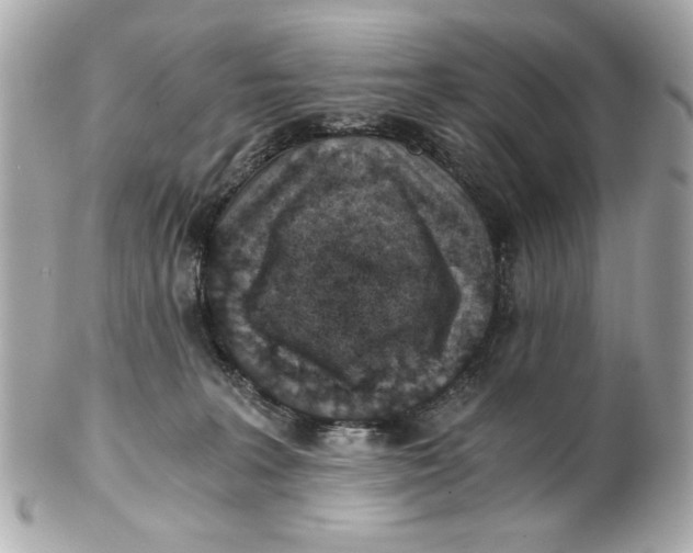 X0000101650227200807311420