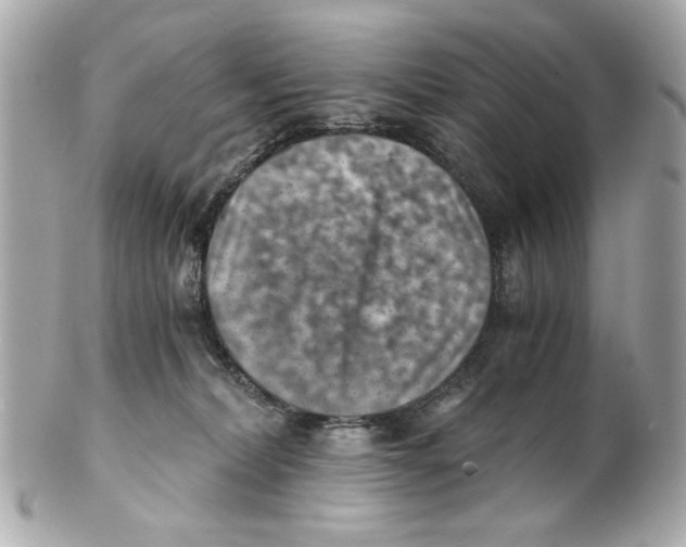 X0000101650228200807311420