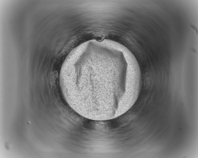 X0000101650229200807311420