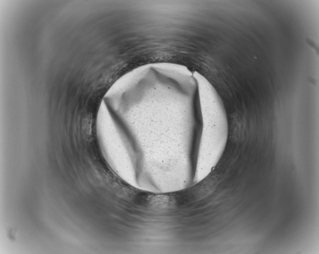 X0000101650230200807311420
