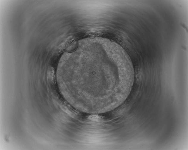X0000101650231200807311420