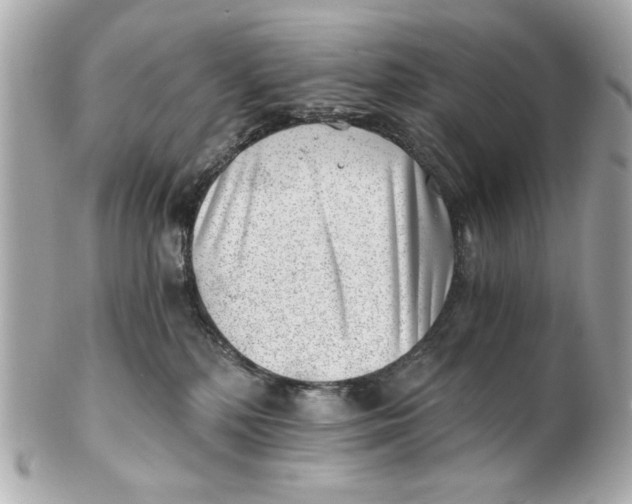 X0000101650232200807311420