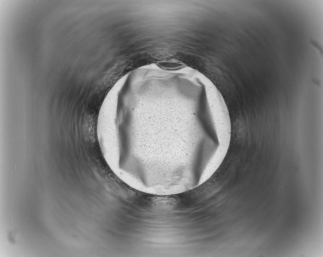 X0000101650234200807311420