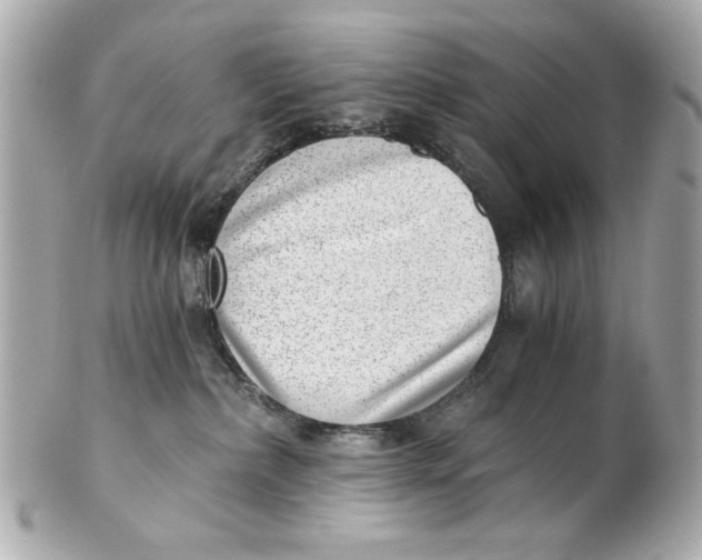 X0000101650236200807311420