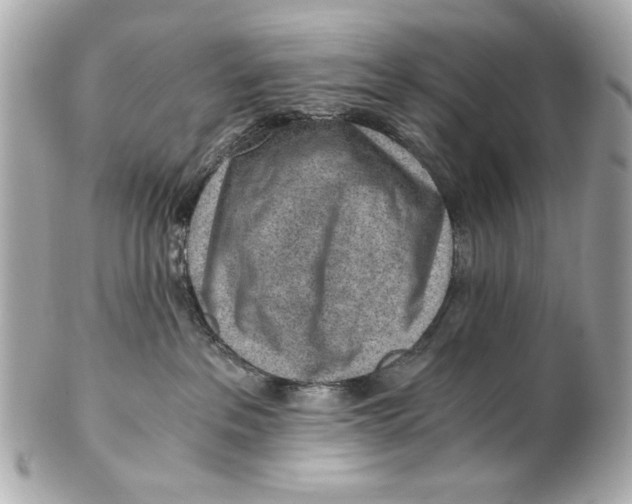 X0000101650237200807311420