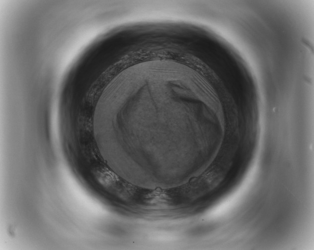 X0000101650239200807311420