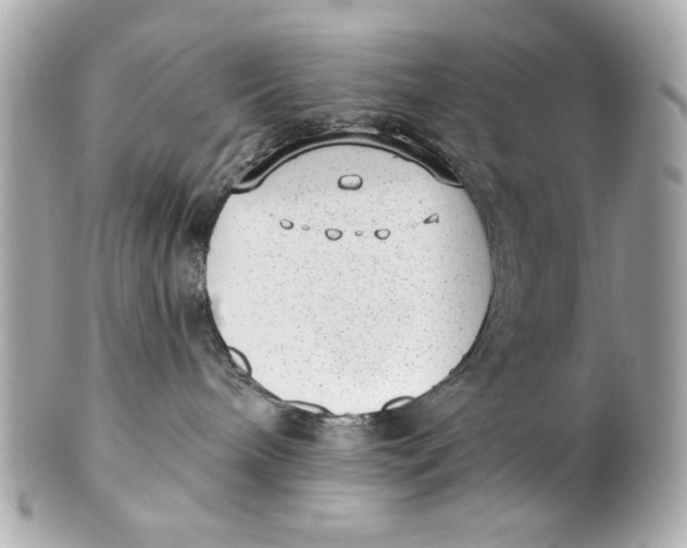 X0000101650240200807311420