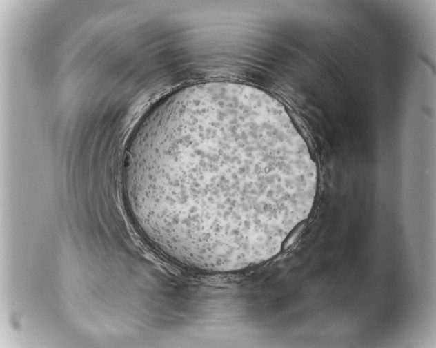 X0000101650241200807311419