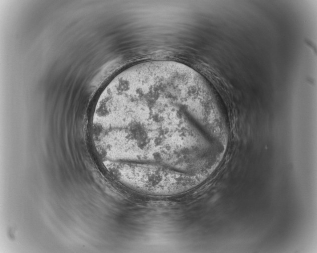 X0000101650242200807311419