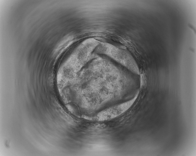 X0000101650243200807311419